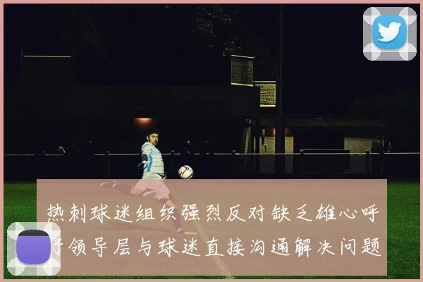 热刺球迷组织强烈反对缺乏雄心呼吁领导层与球迷直接沟通解决问题